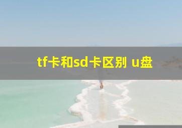 tf卡和sd卡区别 u盘